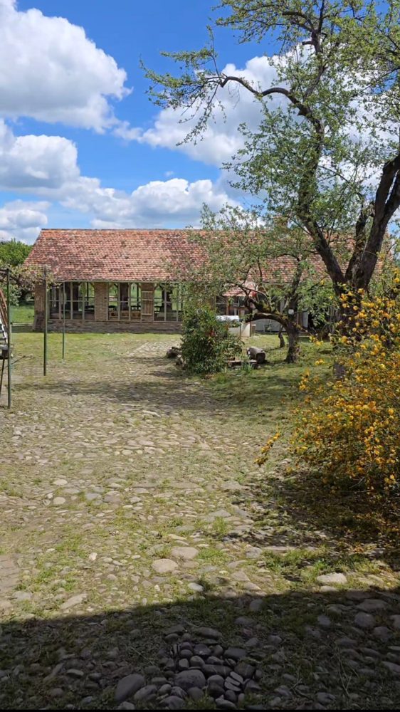Orangeria — vedere exterioară, clădire cu acoperiș din țiglă și pereți vitrați, în curtea casei